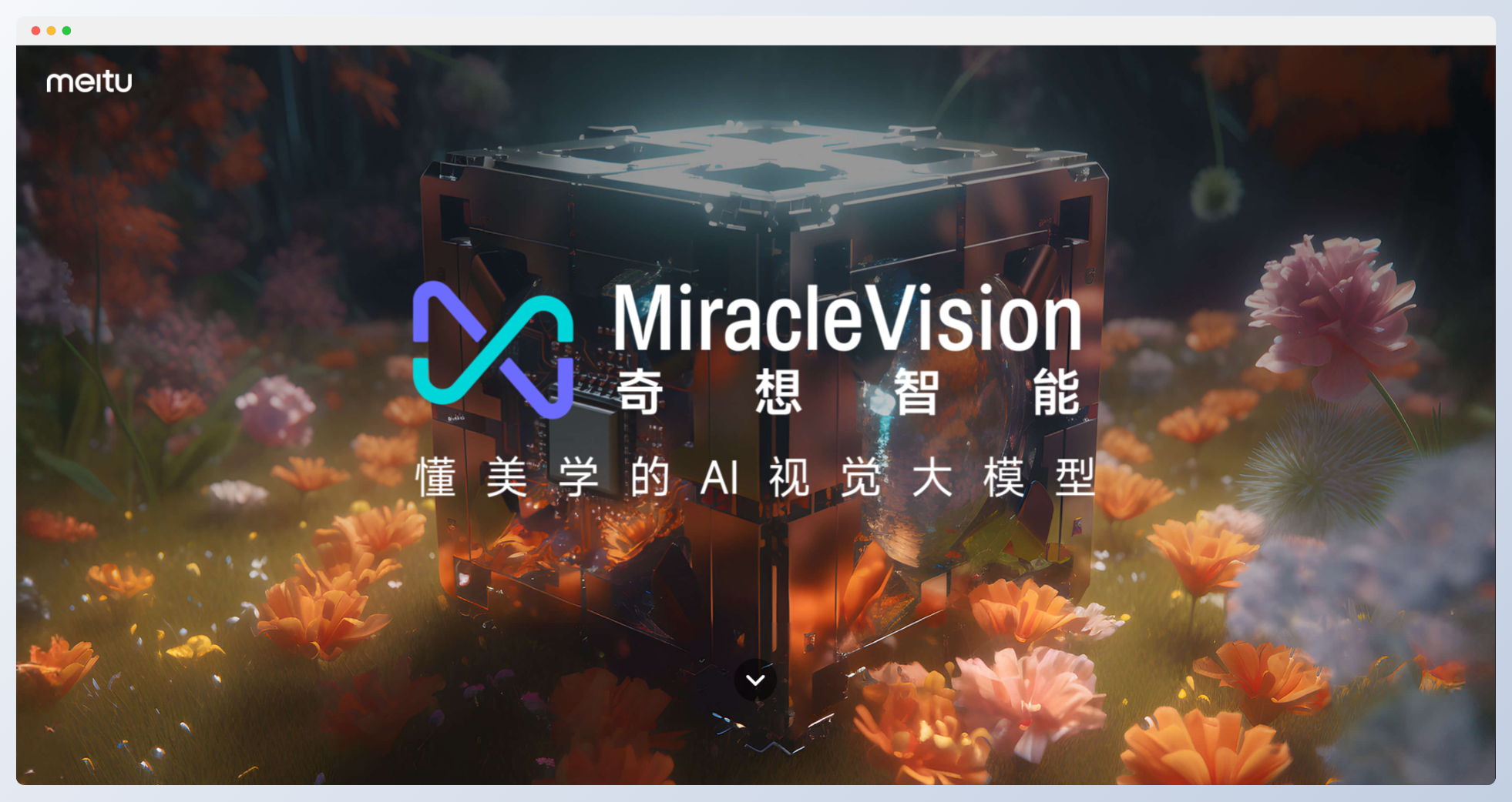 MiracleVision
