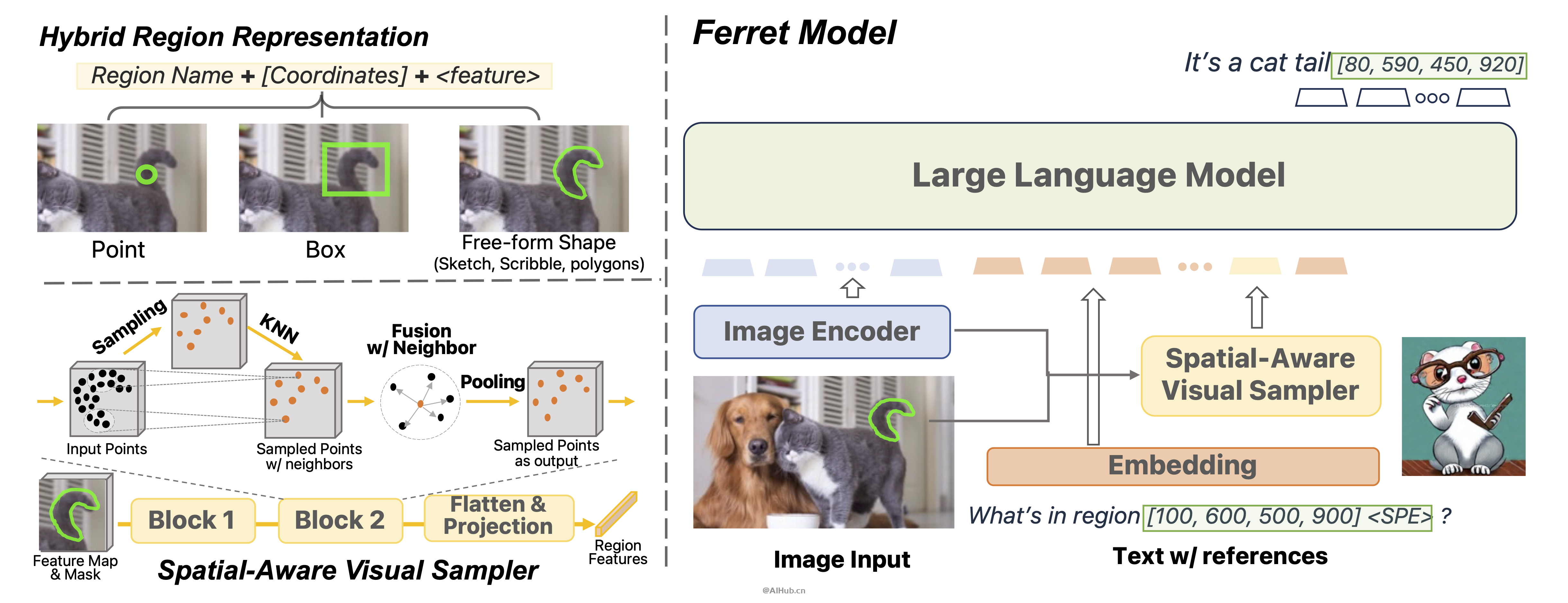 Ferret