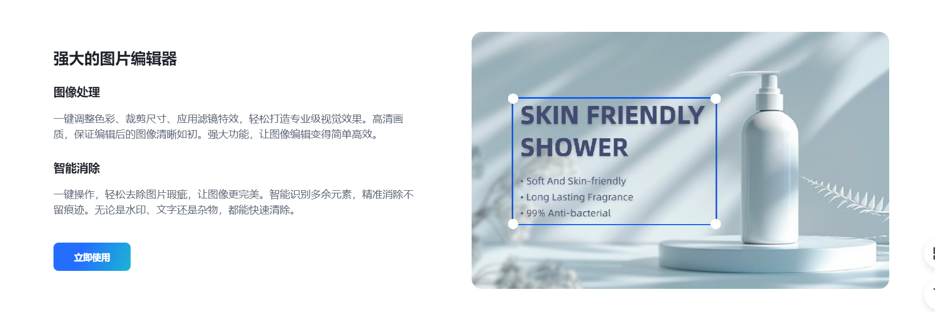 花生图像的主要功能