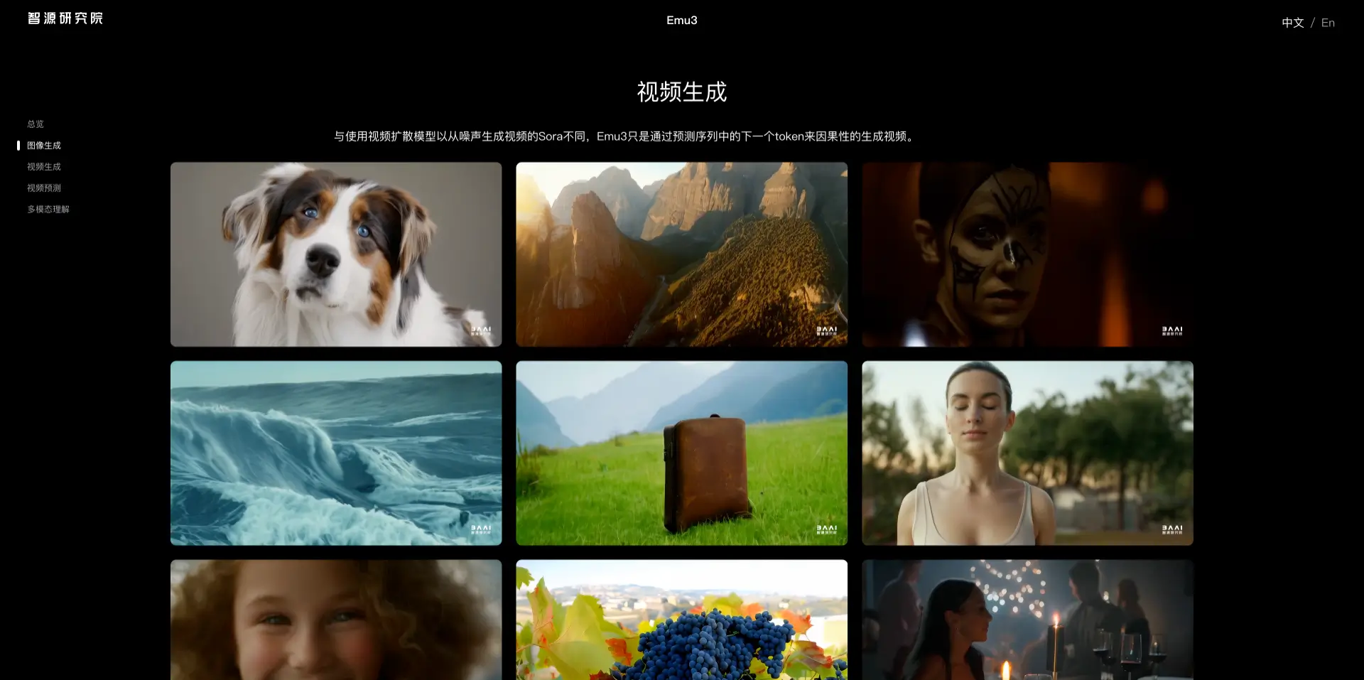 Emu3的功能特性