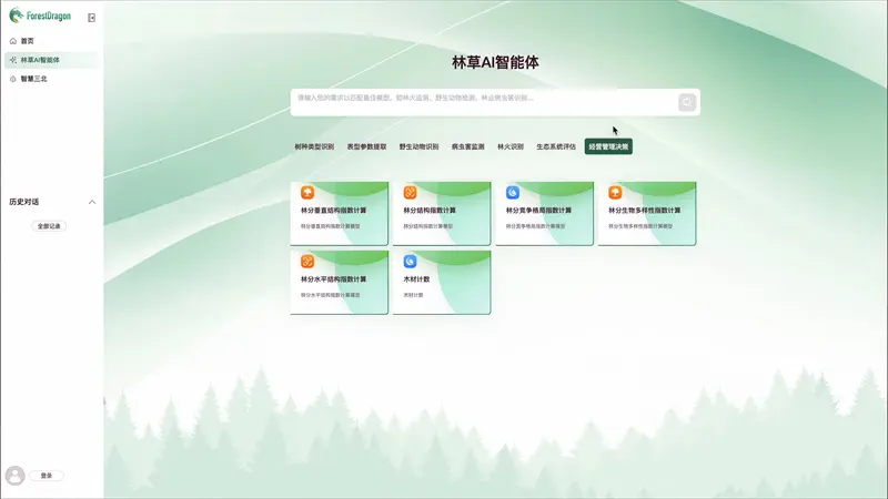 林龙大模型