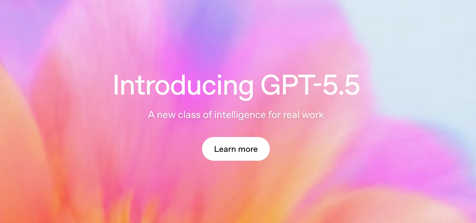 GPT-5.5